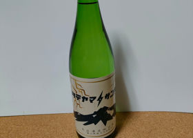 立山 チェックイン 1