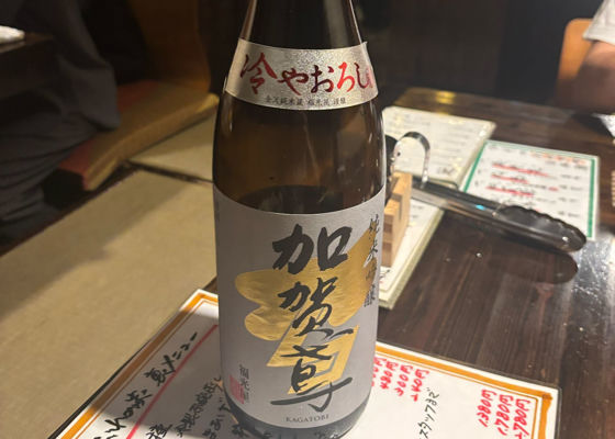 加賀鳶 チェックイン 1