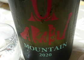alt 1
