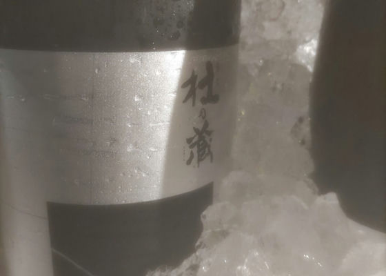alt 1