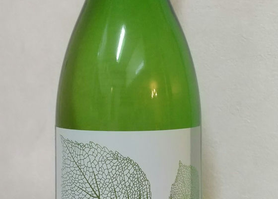 alt 1