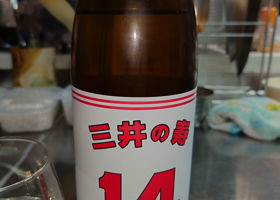 alt 1