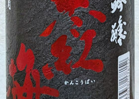 alt 2