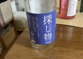 alt 1