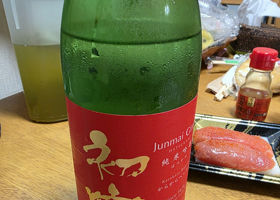 alt 3