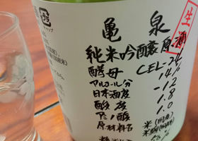alt 1