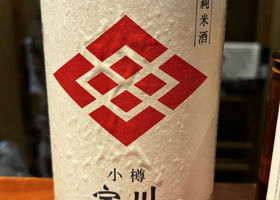 alt 1