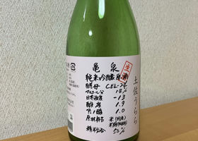 alt 1