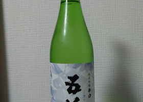 alt 1