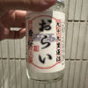 舞桜 1