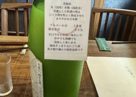 alt 3