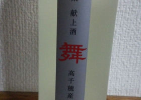 alt 1