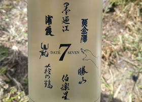 DATE SEVEN 签到 1