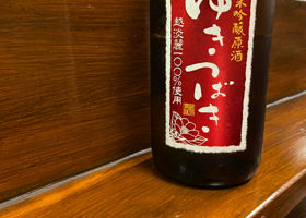 alt 1