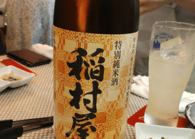 alt 1
