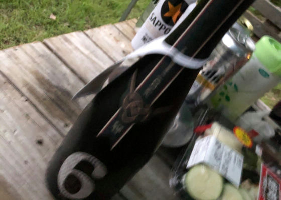 alt 1