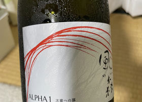 alt 1