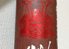 alt 1