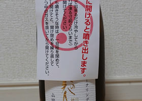 alt 4
