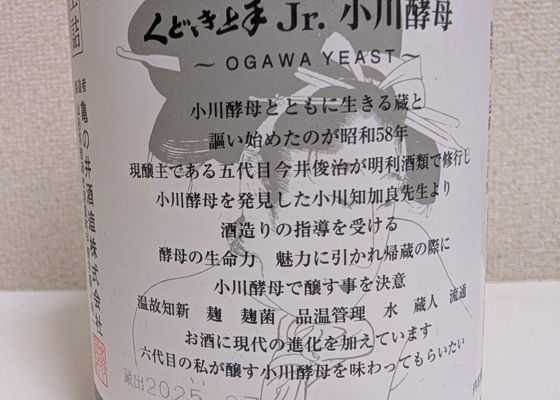 alt 1