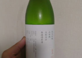 alt 1