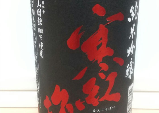 alt 1