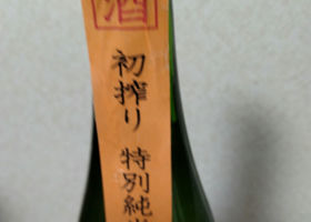 alt 1