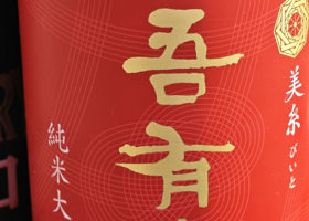 alt 1