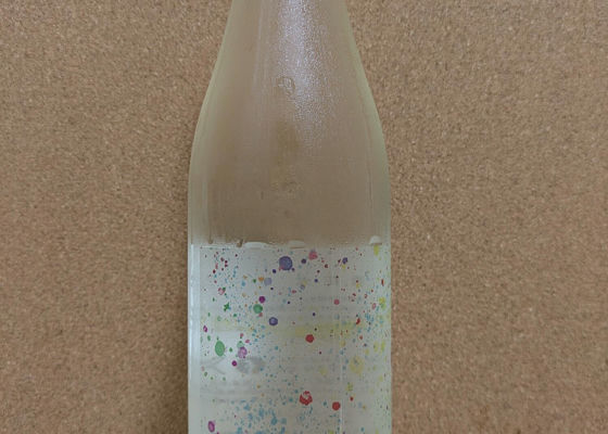 alt 1