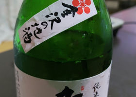 alt 2