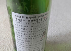 alt 2