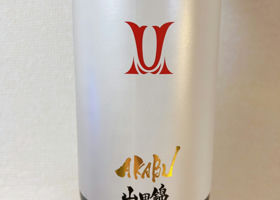 alt 1