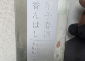 alt 1