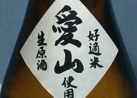 alt 3
