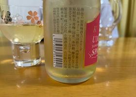 加賀梅酒 チェックイン 2