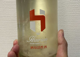 alt 1