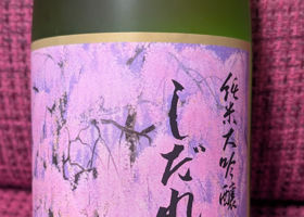 しだれ桜 チェックイン 2