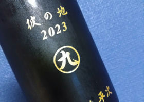 alt 2