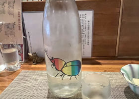 alt 1
