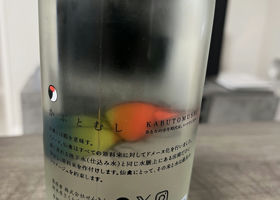 alt 2