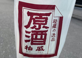 alt 2
