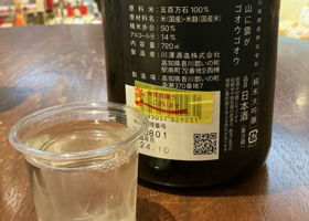 alt 3