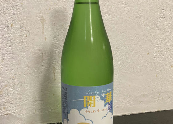 alt 1