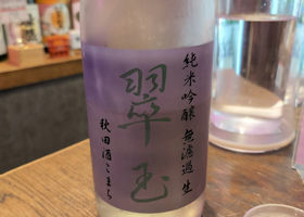 alt 1