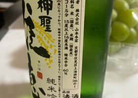 alt 3
