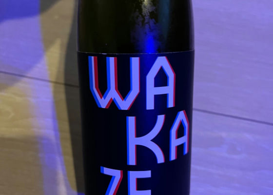 WAKAZE Check-in 1