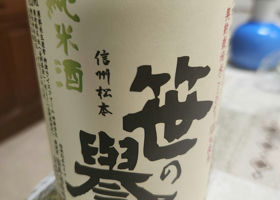 alt 1