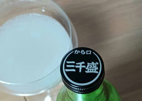 alt 3