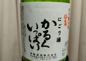 alt 1