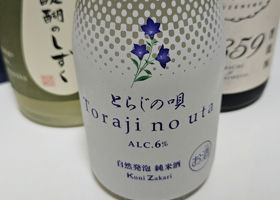 alt 1